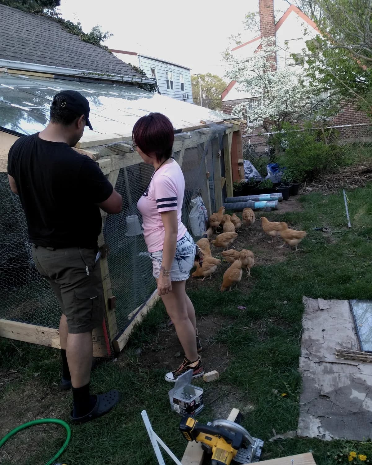 People planting seedlings in a garden