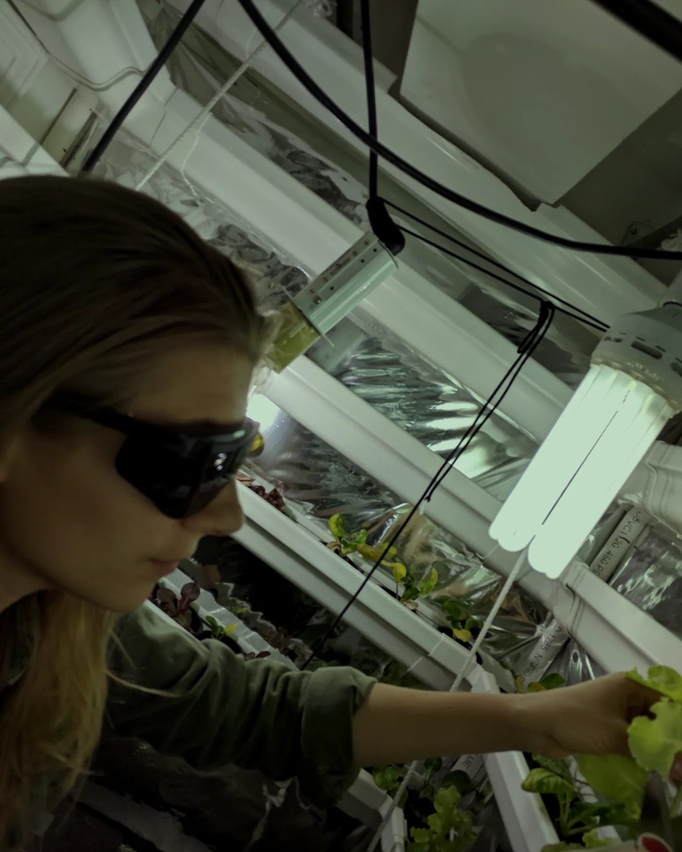 A person working under grow lights in the H.I.V.E. habitat