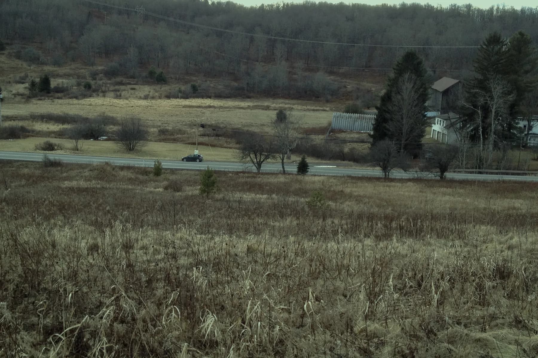 Open field and tree line at Oasis in Delhi, New York